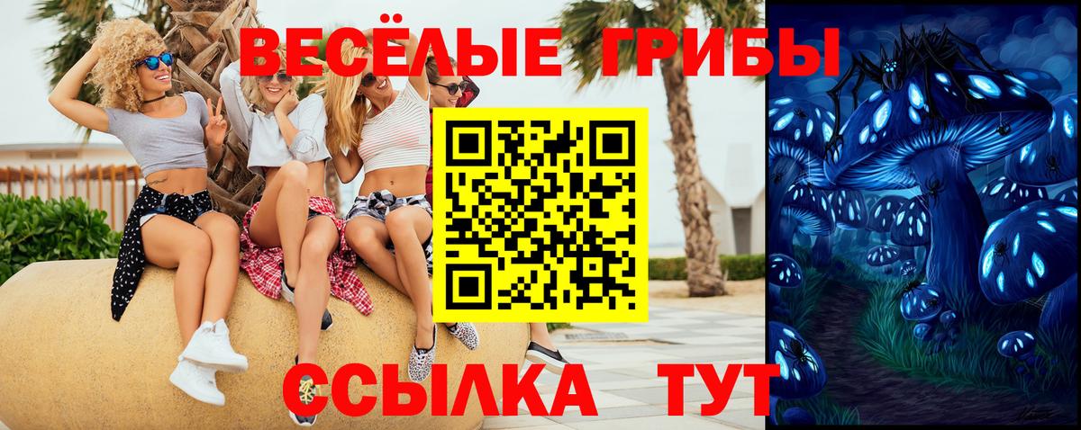 Псилоцибиновые грибы мицелий  Псилоцибиновые грибы Psilocybine cubensis  Вход с VPN  где купить наркоту  Гагарин 